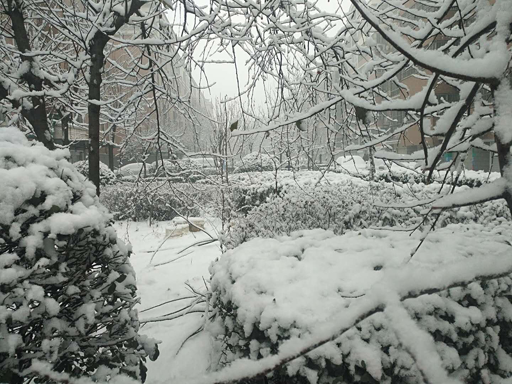 微信图片_20190104105347.jpg 微信图片_20190104105347.jpg